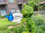 DVC Points Charts DVC Fan